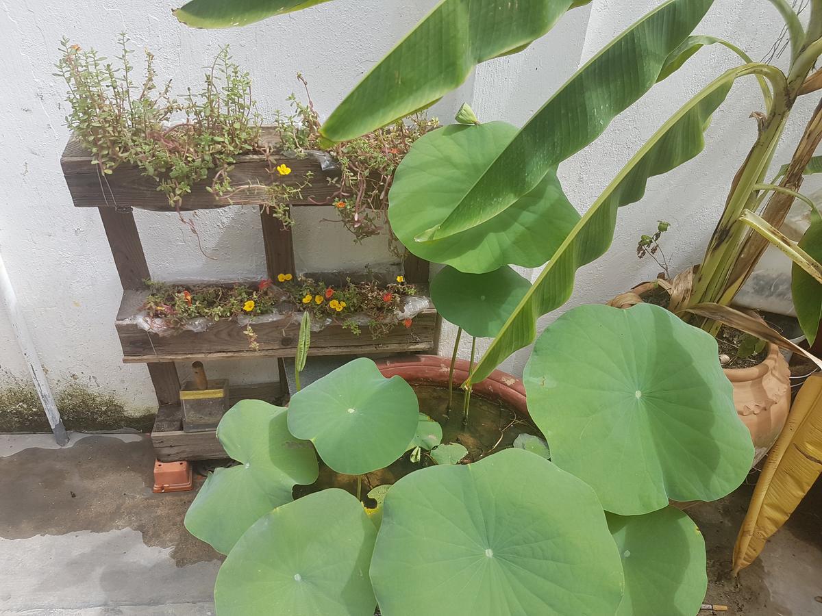 La La House Homestay Nha Trang Exterior photo